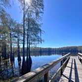 Review photo of Sand Pond Campground - Pine Log State Forest by Brianna B., October 20, 2024