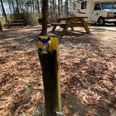 Review photo of Sand Pond Campground — Pine Log State Forest by Eric R., March 17, 2025