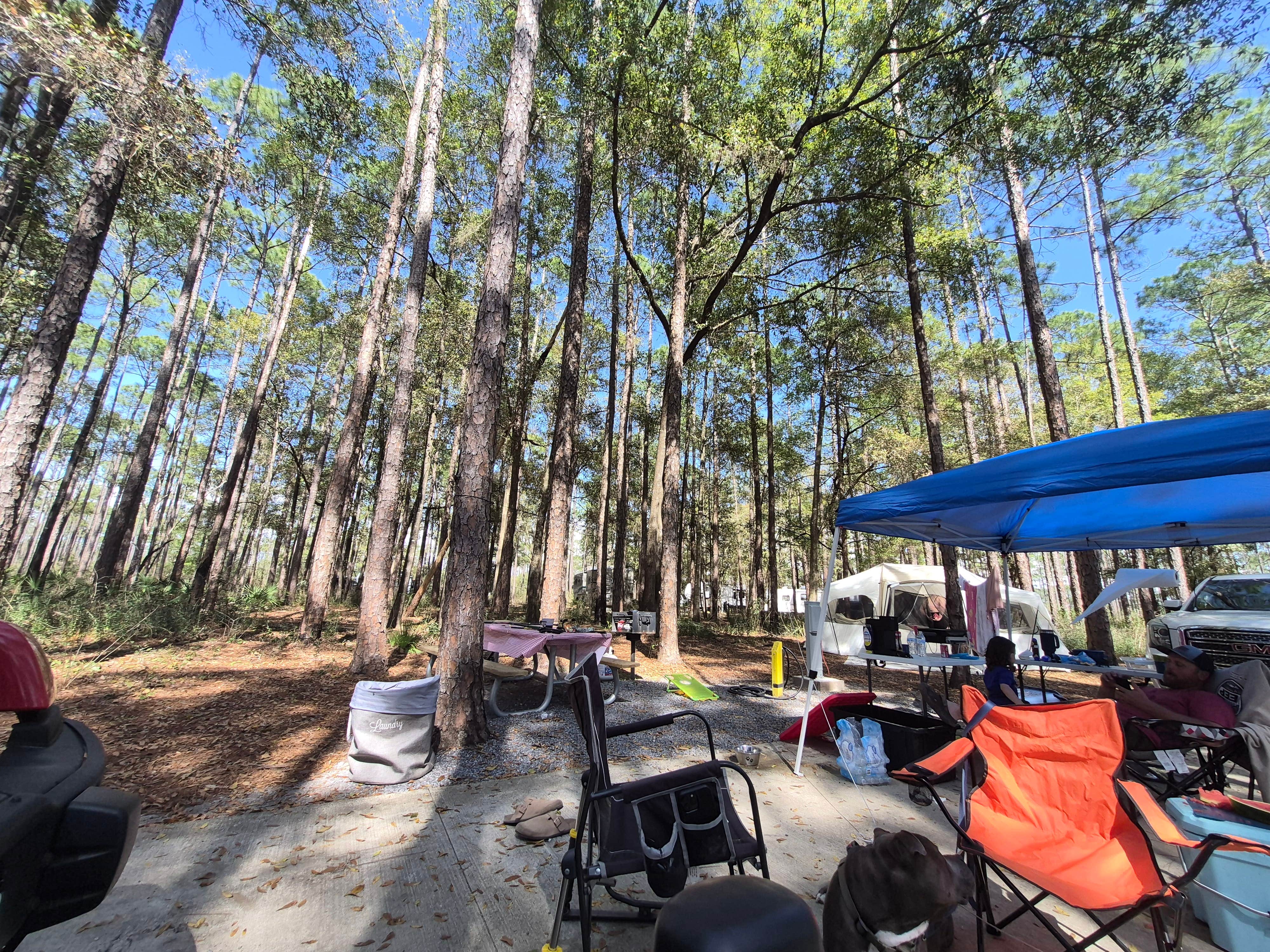 Savannah G.'s photo at Sand Pond Campground — Pine Log State Forest near Youngstown, FL
