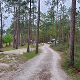 Review photo of Sand Pond Campground - Pine Log State Forest by Eric R., March 26, 2024