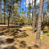 Review photo of Sand Pond Campground — Pine Log State Forest by Eric R., March 17, 2025