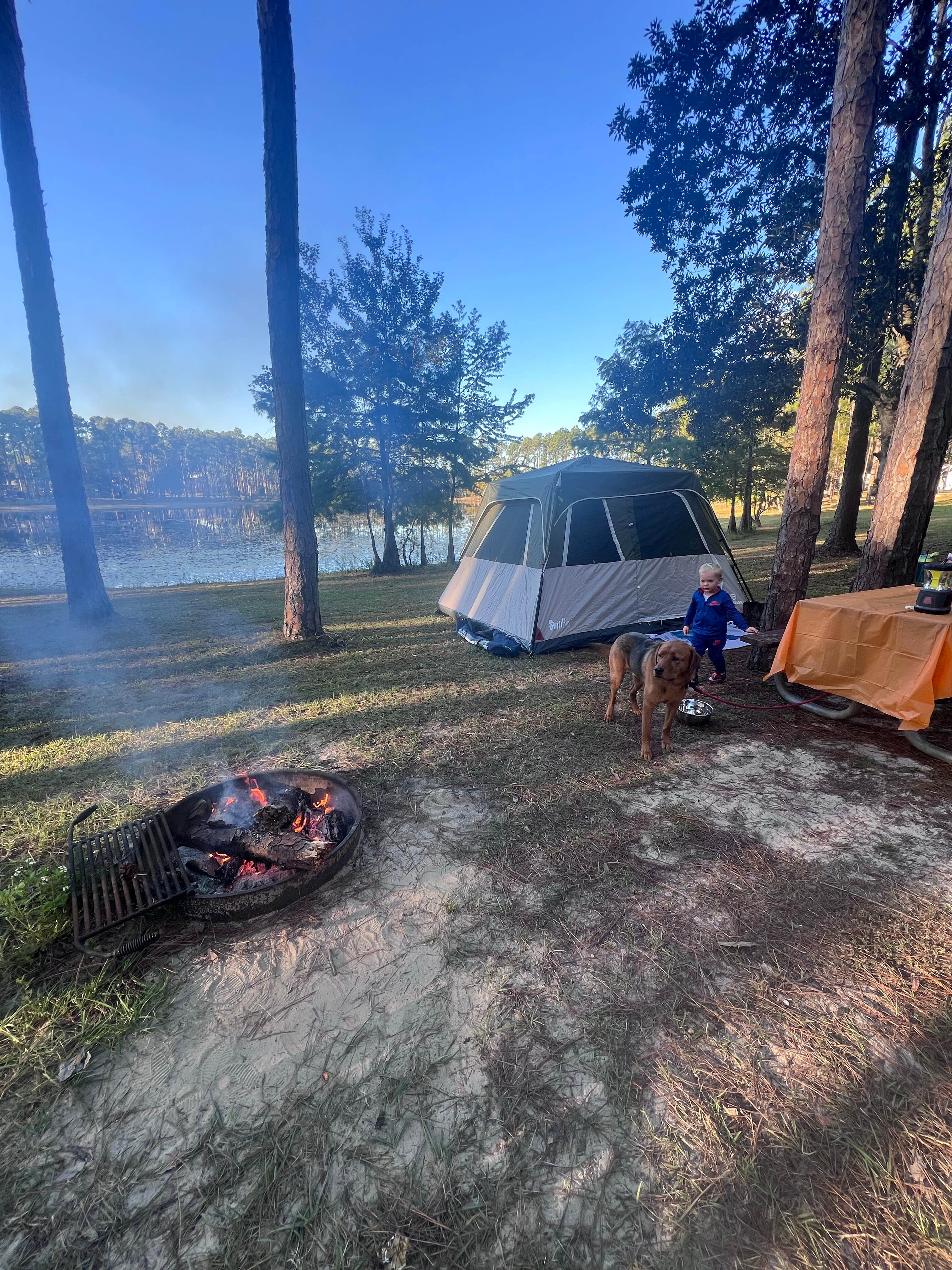 Brianna B.'s photo of camping with pets at Sand Pond Campground — Pine Log State Forest near Panama City Beach, FL