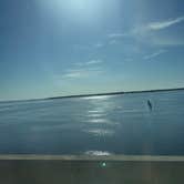 Review photo of Raptor Ranch at Tyndall AFB by Lesly S., March 16, 2026