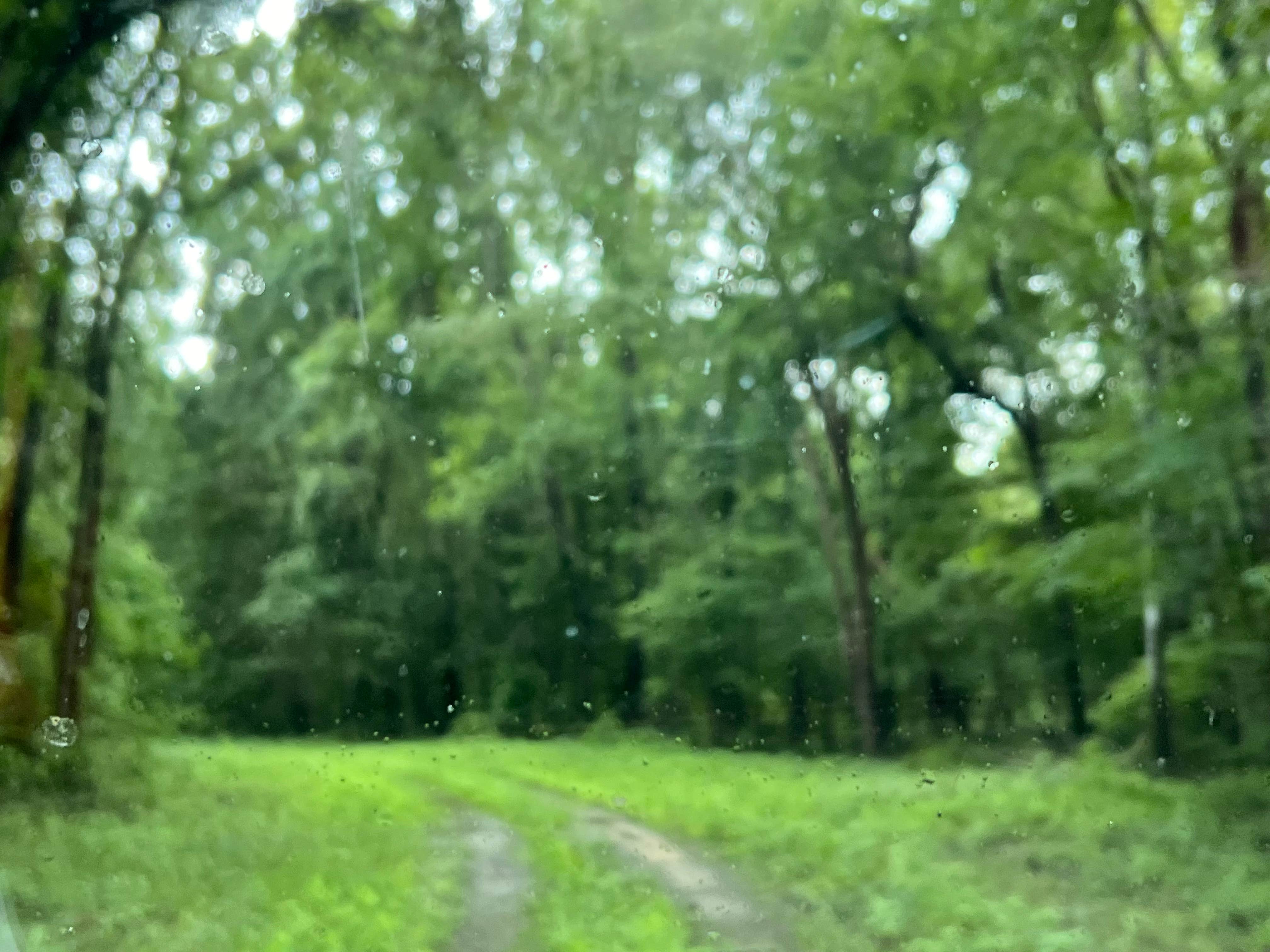 Camper-submitted photo at Florida River Island near Sumatra, FL