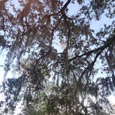 Review photo of Salt Springs Recreation Area by Glen W., February 22, 2026