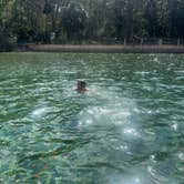 Review photo of Salt Springs Recreation Area by Miranda R., March 4, 2025