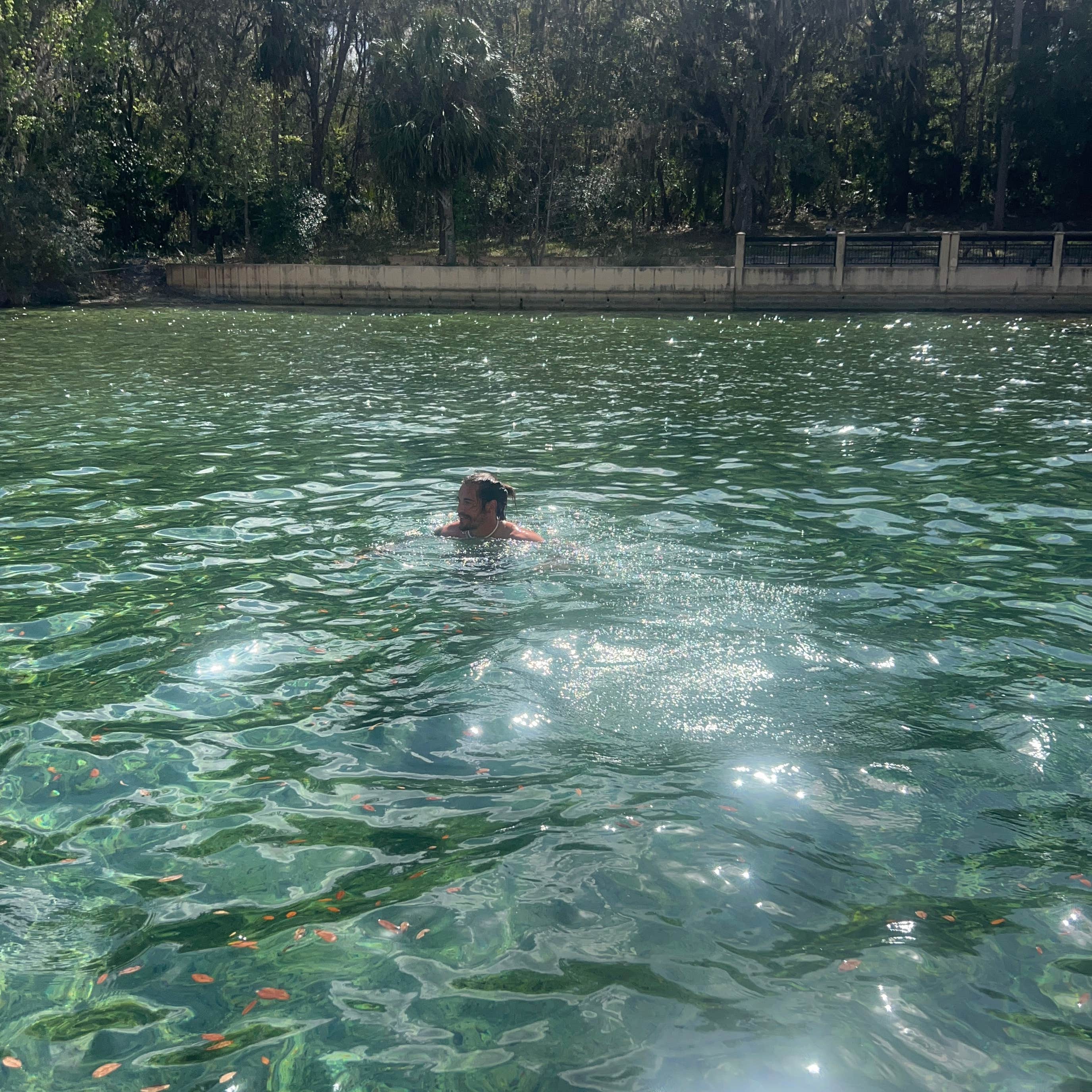 Salt Springs Recreation Area Camping | Salt Springs, Florida