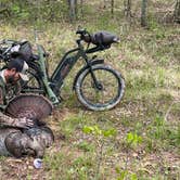 Review photo of Shell Mound Campground by Reese R., January 24, 2024