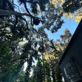 Review photo of Trimble Park Campground by Courtney Moriah , September 25, 2025