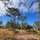 Review photo of Wekiwa Springs State Park Campground by Rebecca H., January 28, 2026