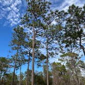 Review photo of Wekiwa Springs State Park Campground by Rebecca H., January 28, 2026