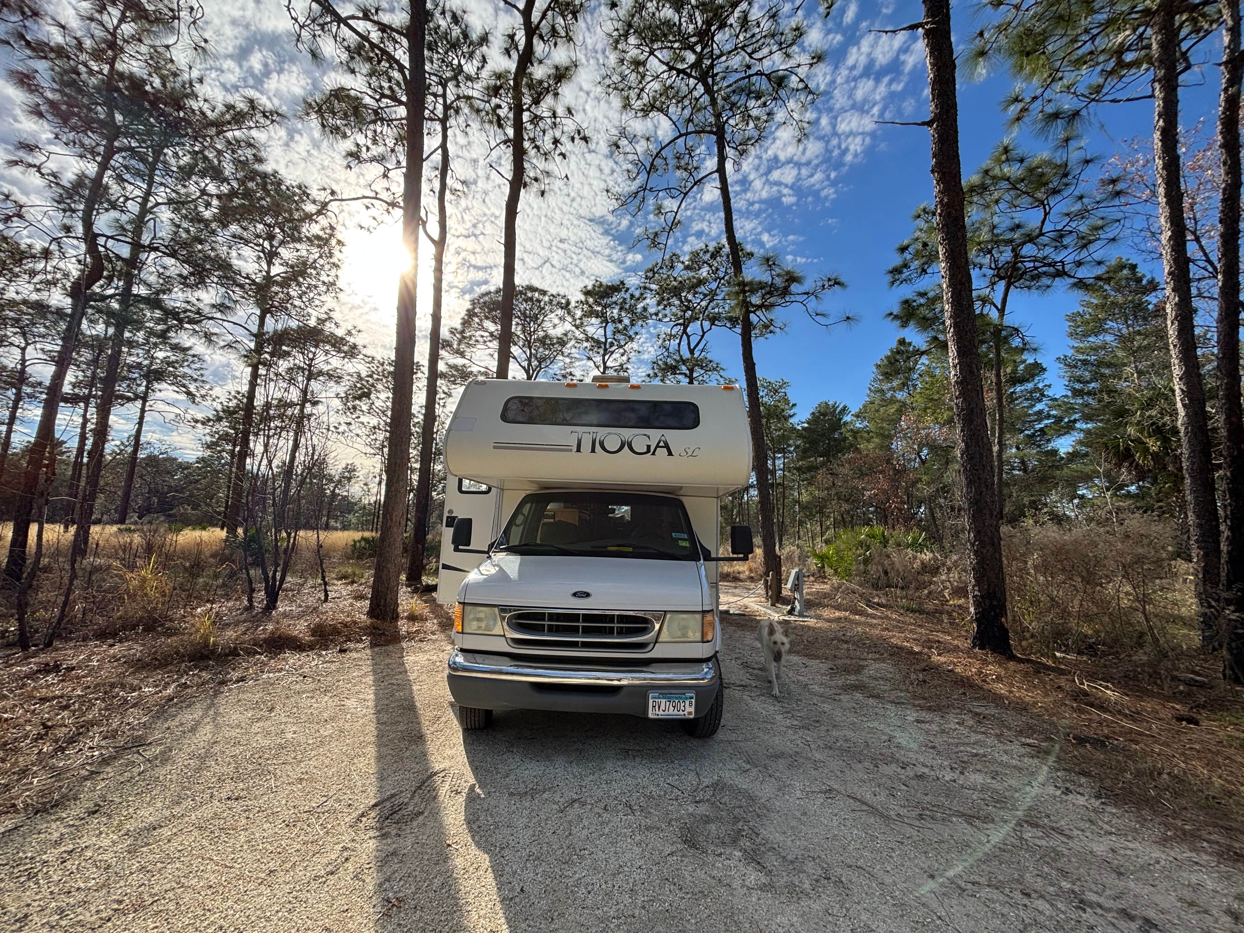 Rebecca H.'s photo of camping with pets at Wekiwa Springs State Park Campground near Titusville, FL