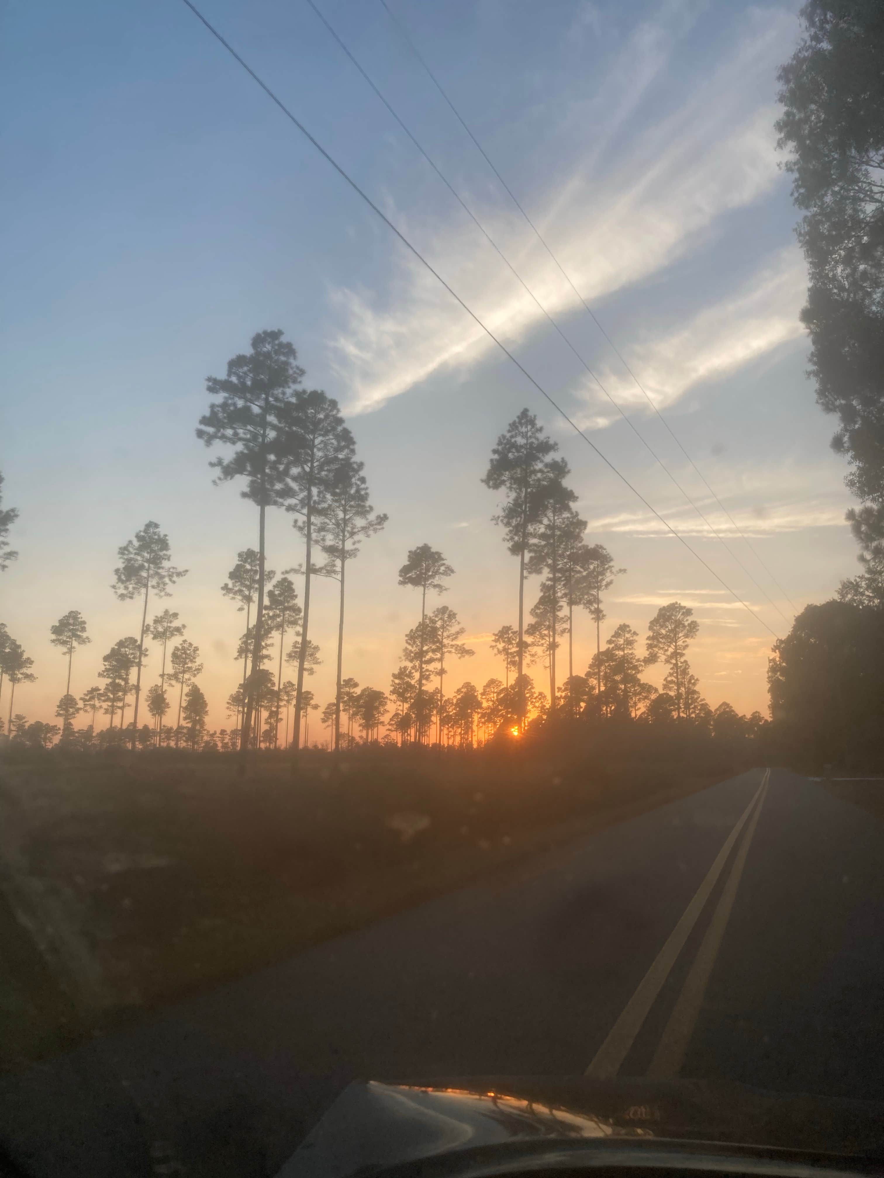 Camper-submitted photo at West Tower Hunt Camp near Lake City, FL