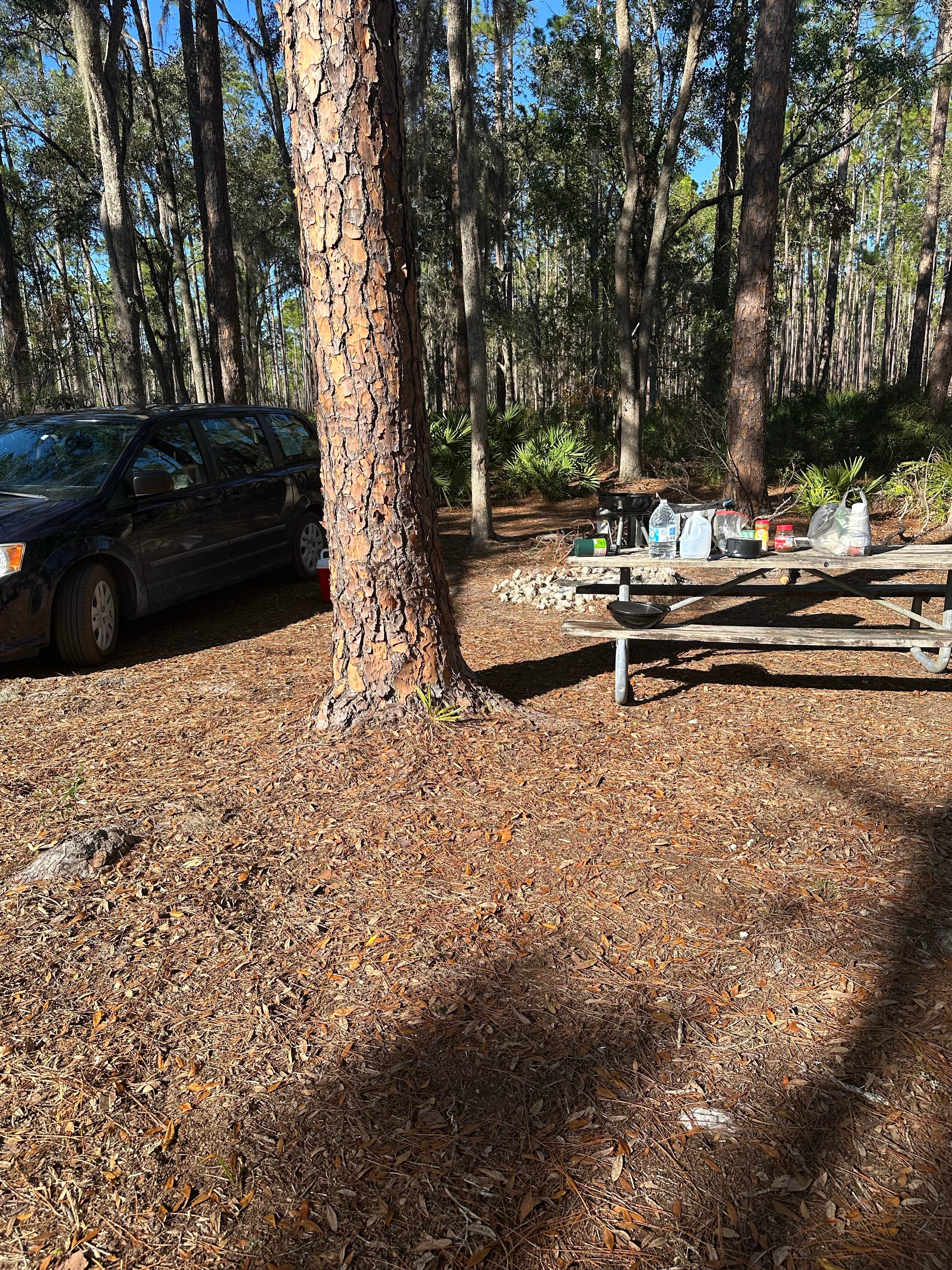 Camper-submitted photo at West Tower Hunt Camp near Lake City, FL