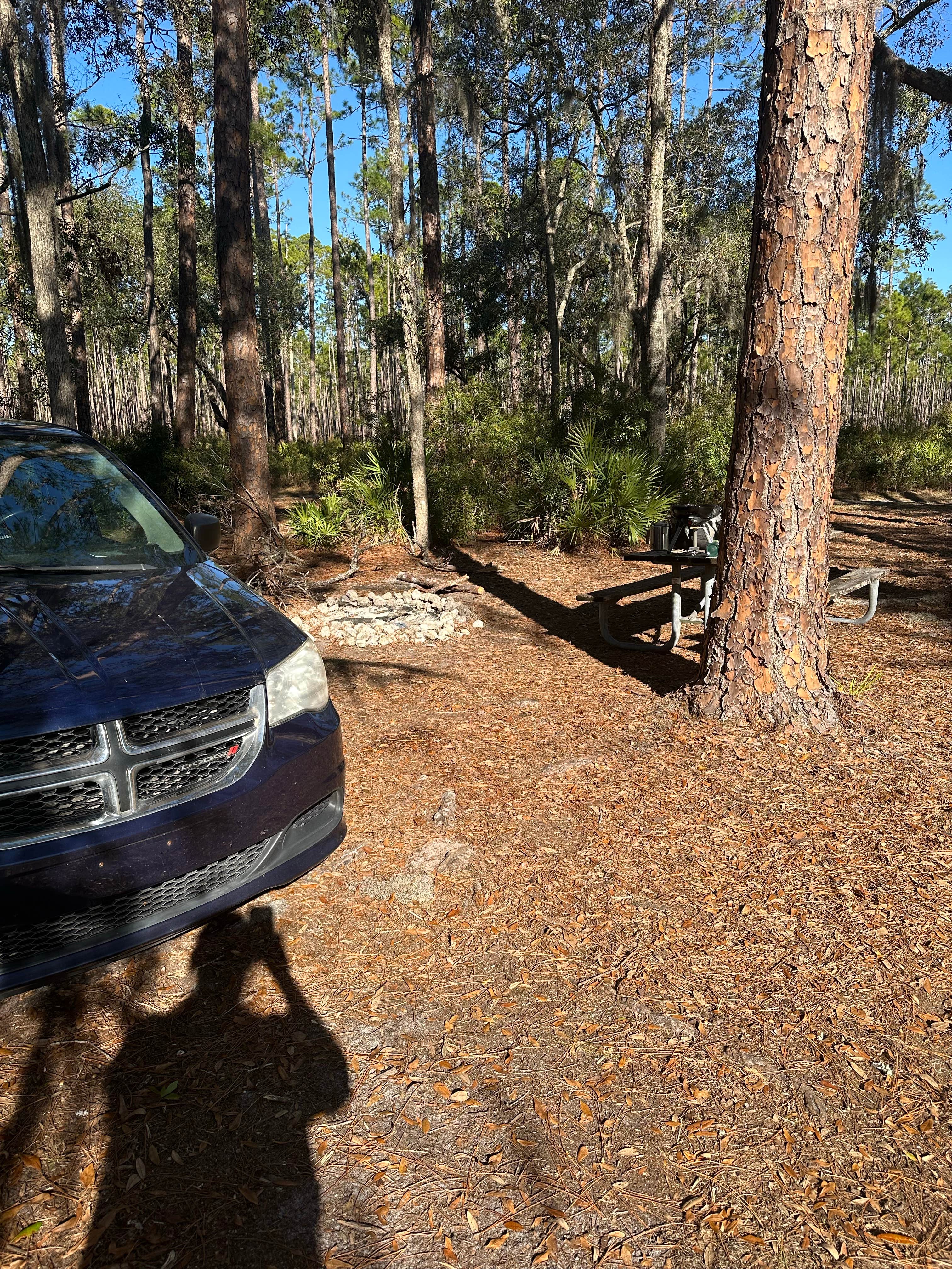 Camper-submitted photo at West Tower Hunt Camp near Lake City, FL