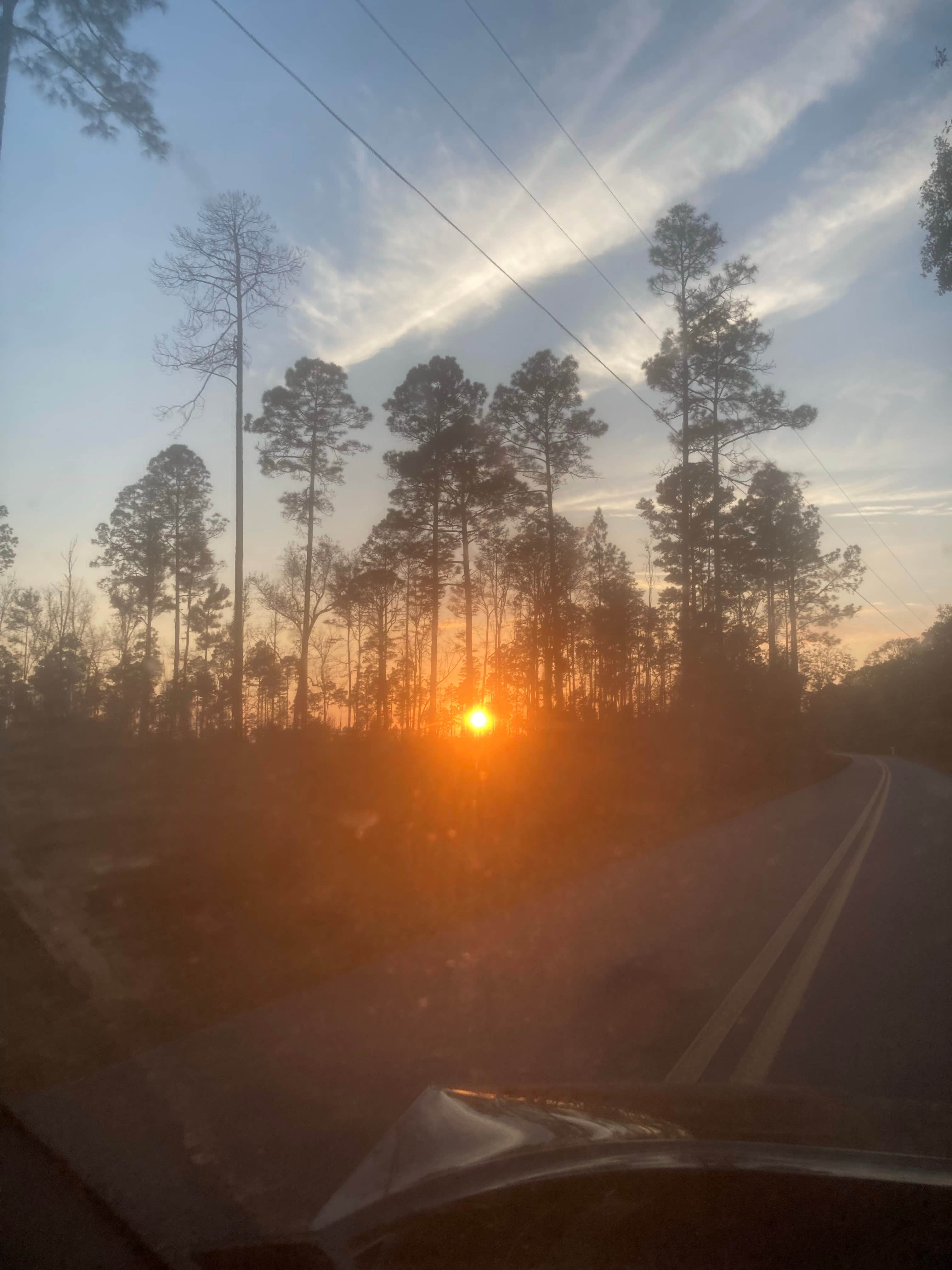 Camper-submitted photo at West Tower Hunt Camp near Lake City, FL