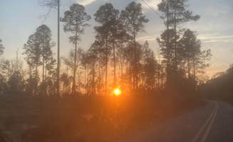 Nadya K.'s photo of a dispersed camping area at West Tower Hunt Camp near Live Oak, FL