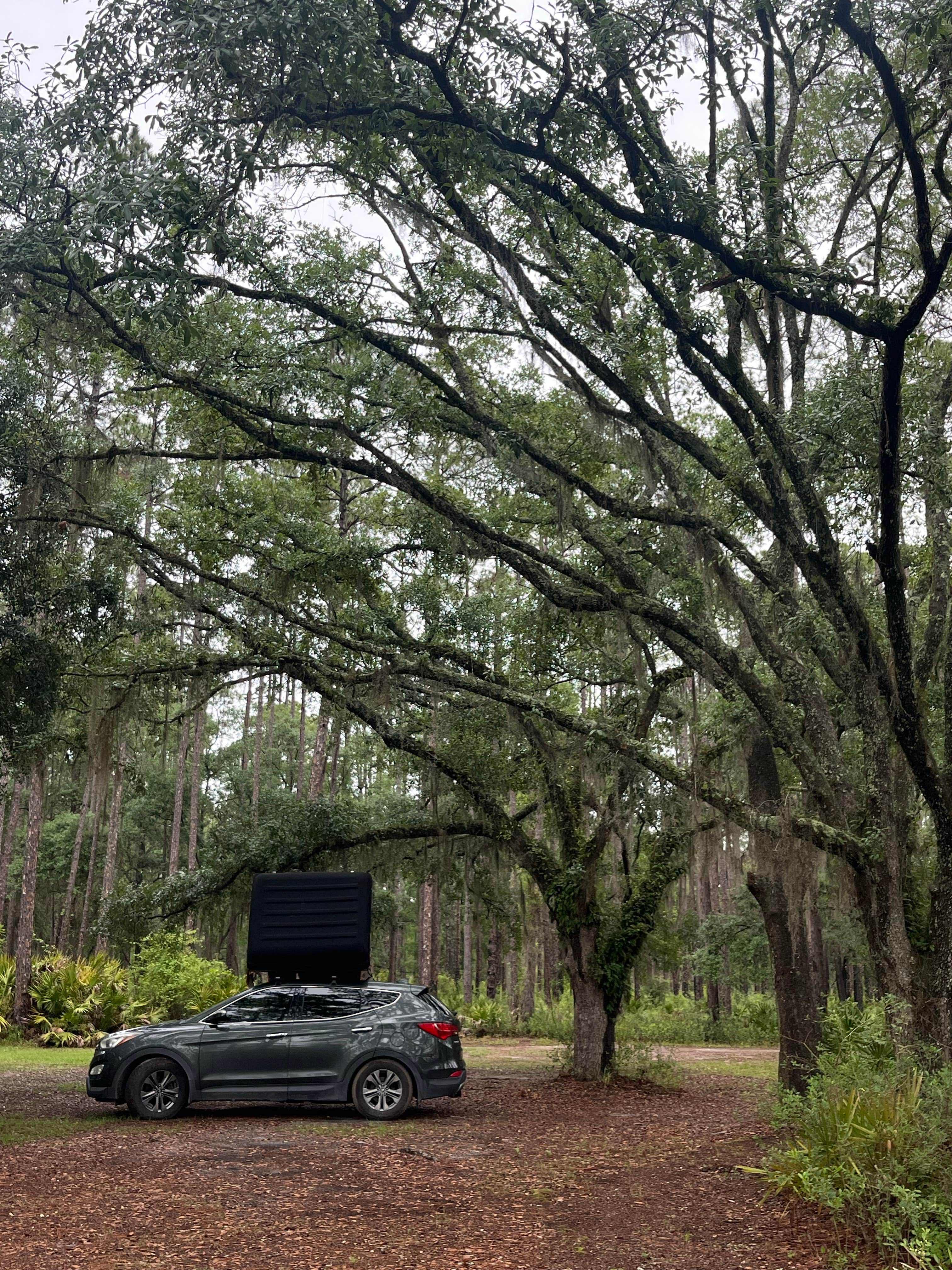 Camper-submitted photo at West Tower Hunt Camp near Lake City, FL