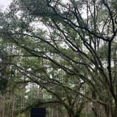 Review photo of West Tower Hunt Camp by Jordan W., May 13, 2026