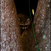 Review photo of Cypress Glen Campground by Ryan A., December 1, 2025