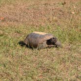 Review photo of Cypress Glen Campground by Ryan A., December 1, 2025