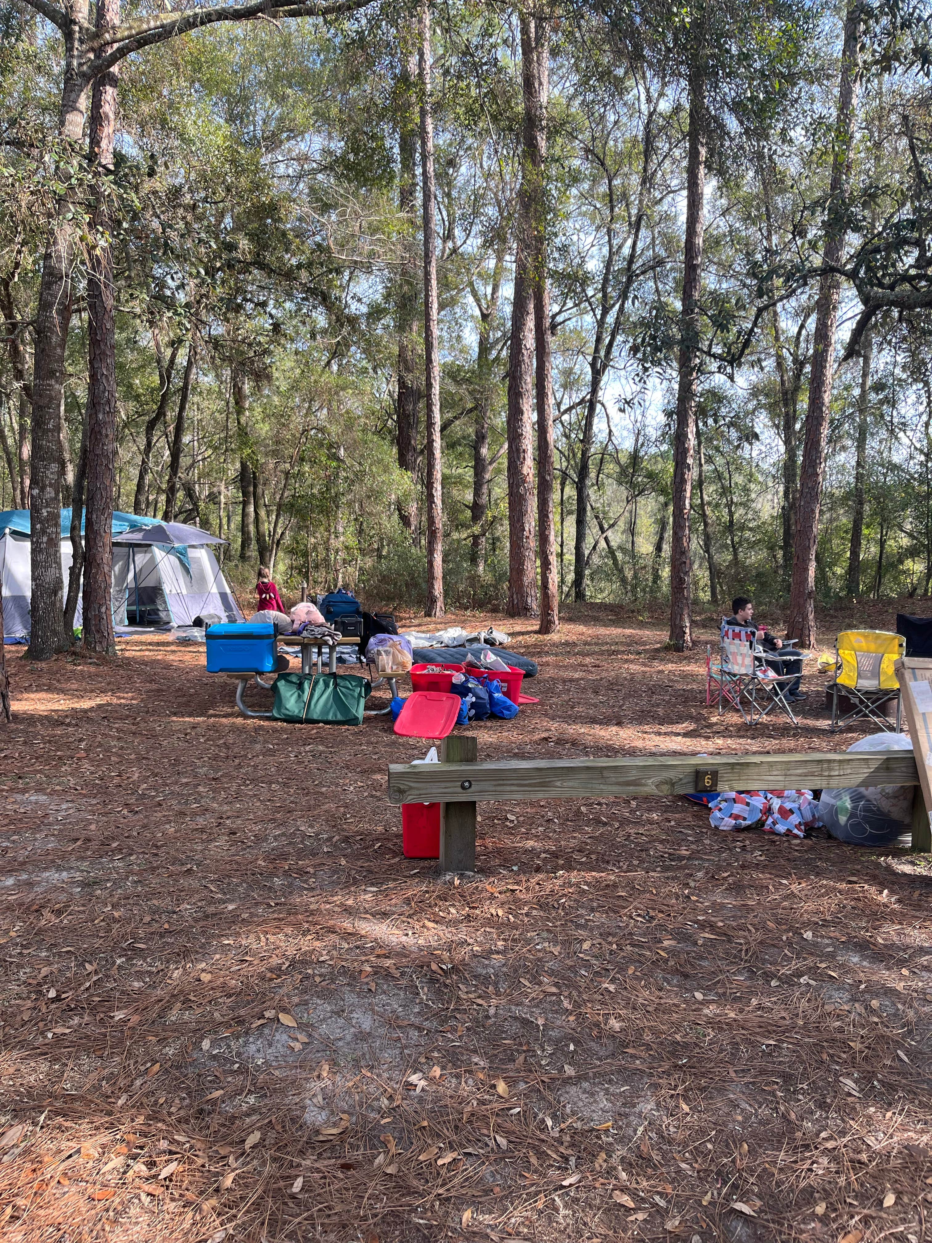 Camper-submitted photo at Mutual Mine Campground — Withlacoochee State Forest near Spring Hill, FL
