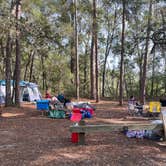 Review photo of Mutual Mine Campground — Withlacoochee State Forest by Sarah V., January 21, 2026