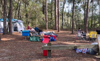 Sarah V.'s photo at Mutual Mine Campground — Withlacoochee State Forest near Homosassa, FL