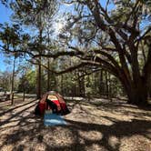 Review photo of Mutual Mine - Withlacoochee State Forest by Teala S., March 16, 2025