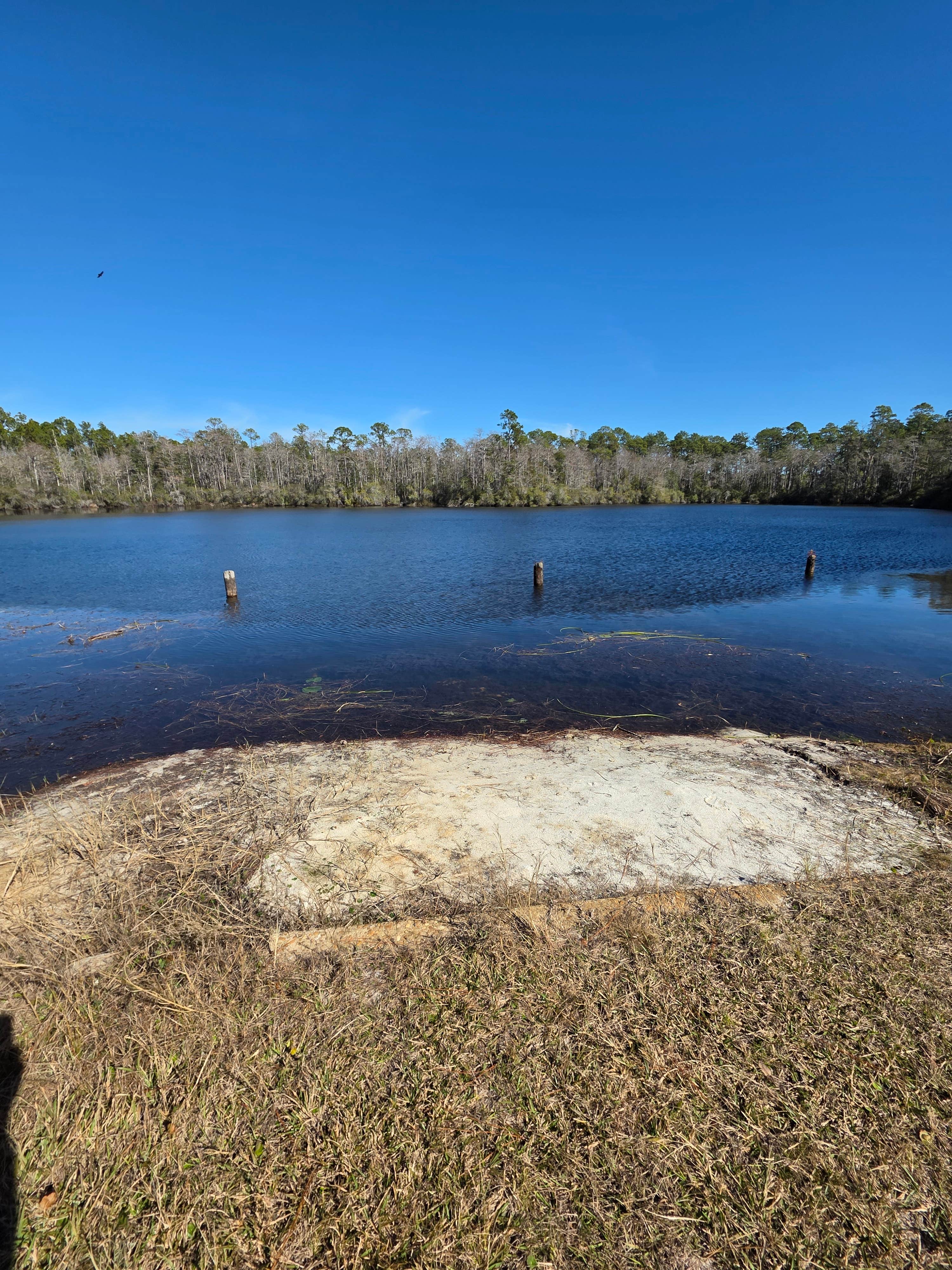 Camper submitted image from Wright Lake Campground - 5