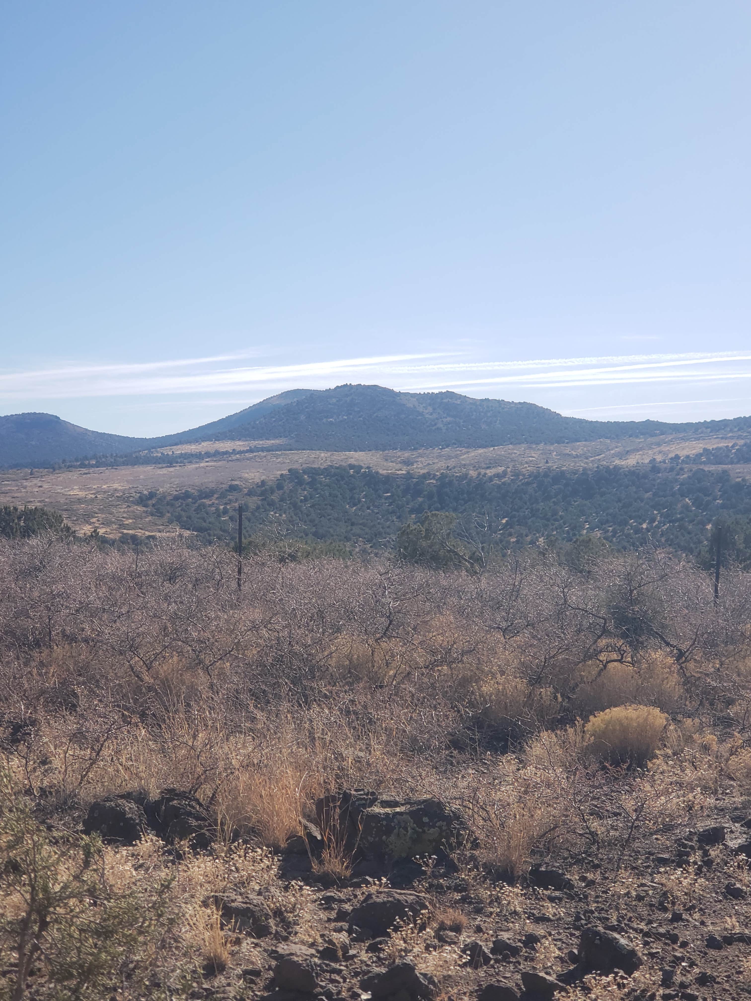 Camper-submitted photo at Flower Pot USFS Dispersed near Cordes Junction, AZ