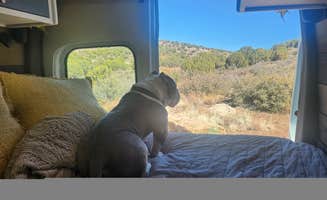 Kelda C.'s photo of camping with pets at Flower Pot USFS Dispersed near Prescott, AZ
