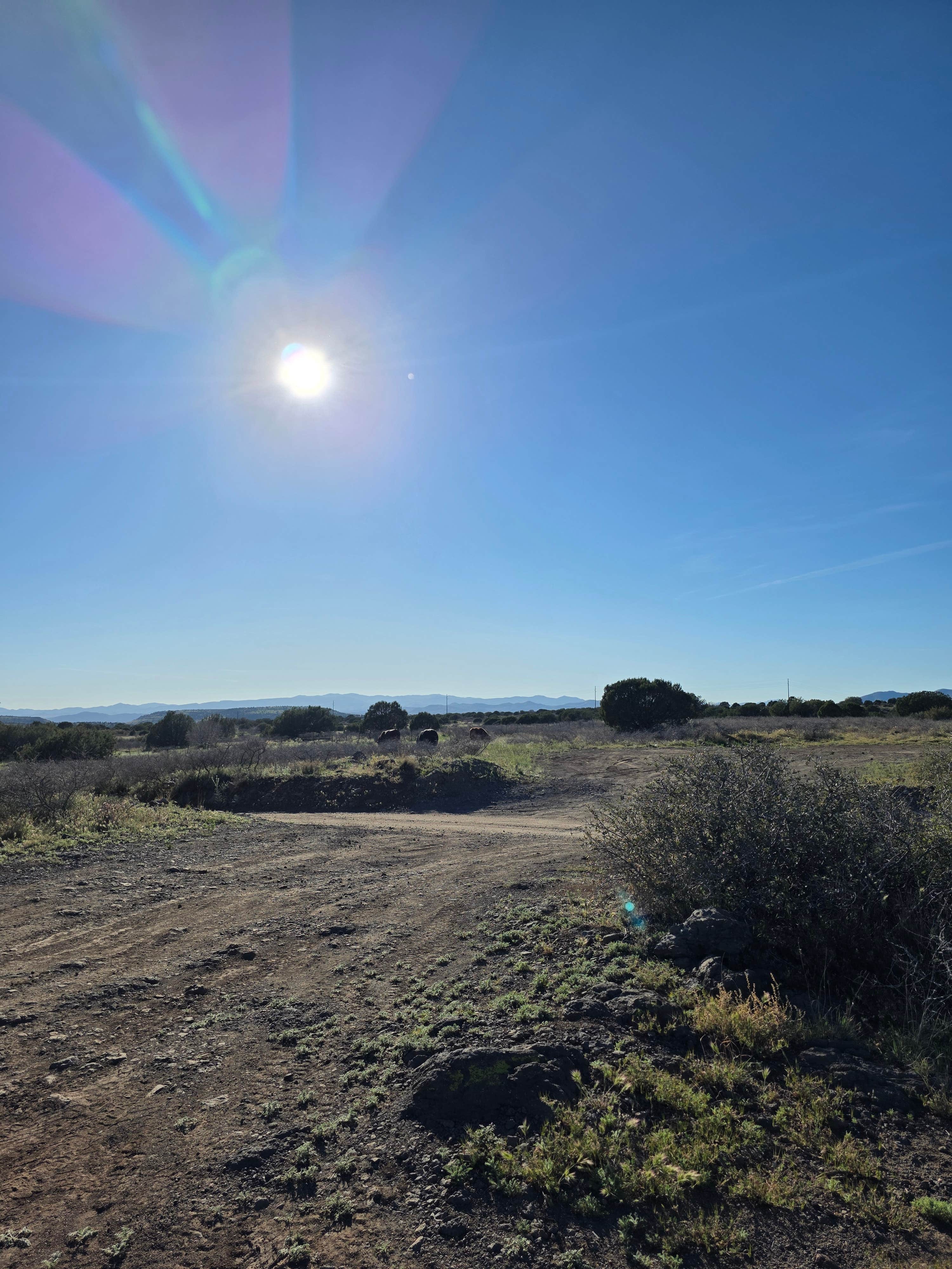 Andrew H.'s photo of a dispersed camping area at Flower Pot USFS Dispersed near Camp Verde, AZ