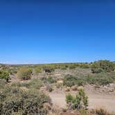 Review photo of Flower Pot USFS Dispersed by seayachtsvs@aol.com W., May 26, 2025