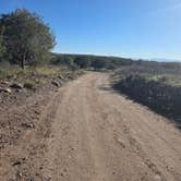 Review photo of Flower Pot USFS Dispersed by Andrew H., March 21, 2026