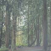 Review photo of Flowing Lake Park & Campground by Paula B., March 17, 2026