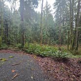 Review photo of Flowing Lake Park & Campground by Paula B., March 17, 2026