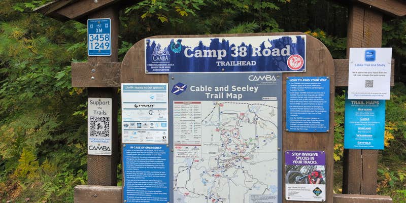 Camper submitted image from FlowMama Trail Head Dispersed