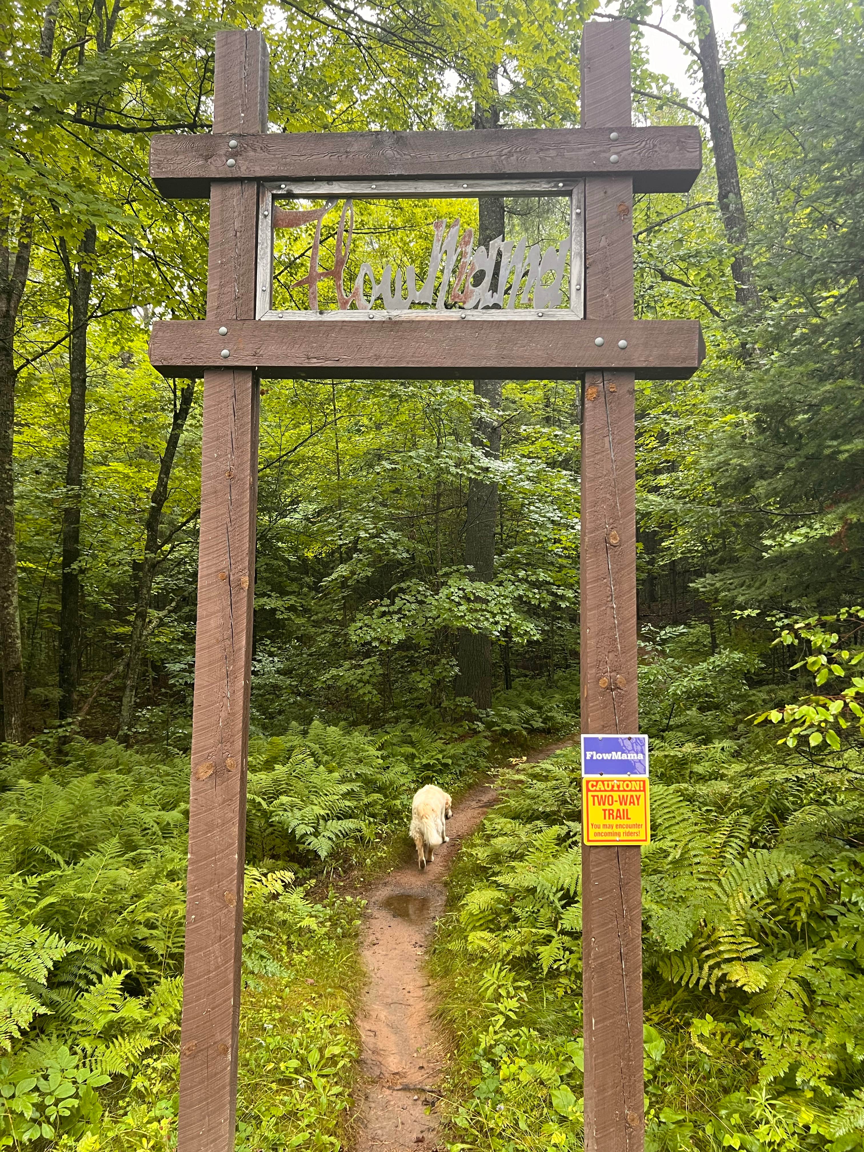 Camper submitted image from FlowMama Trail Head Dispersed - 2