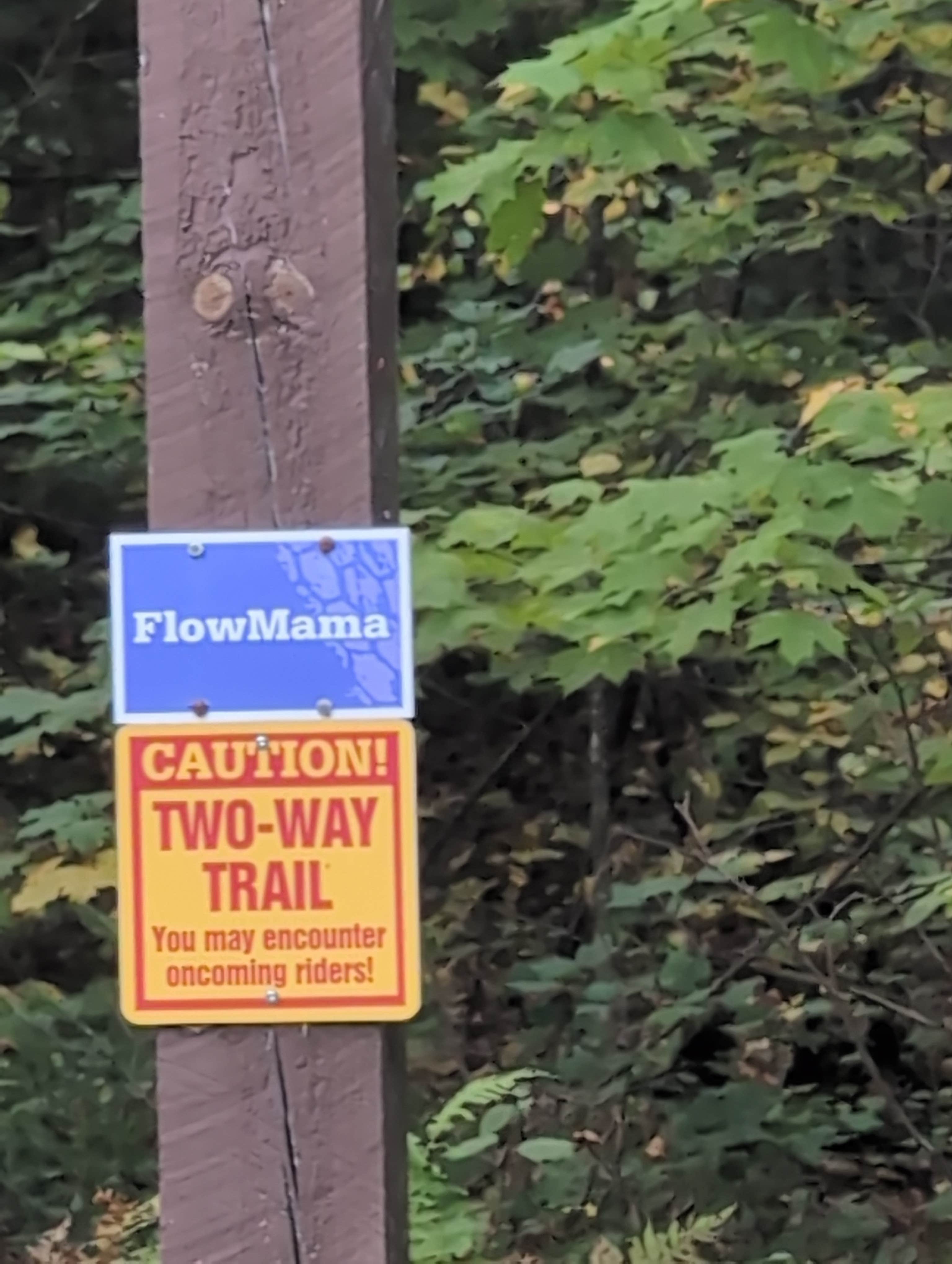 Camper-submitted photo at FlowMama Trail Head Dispersed near Mellen, WI