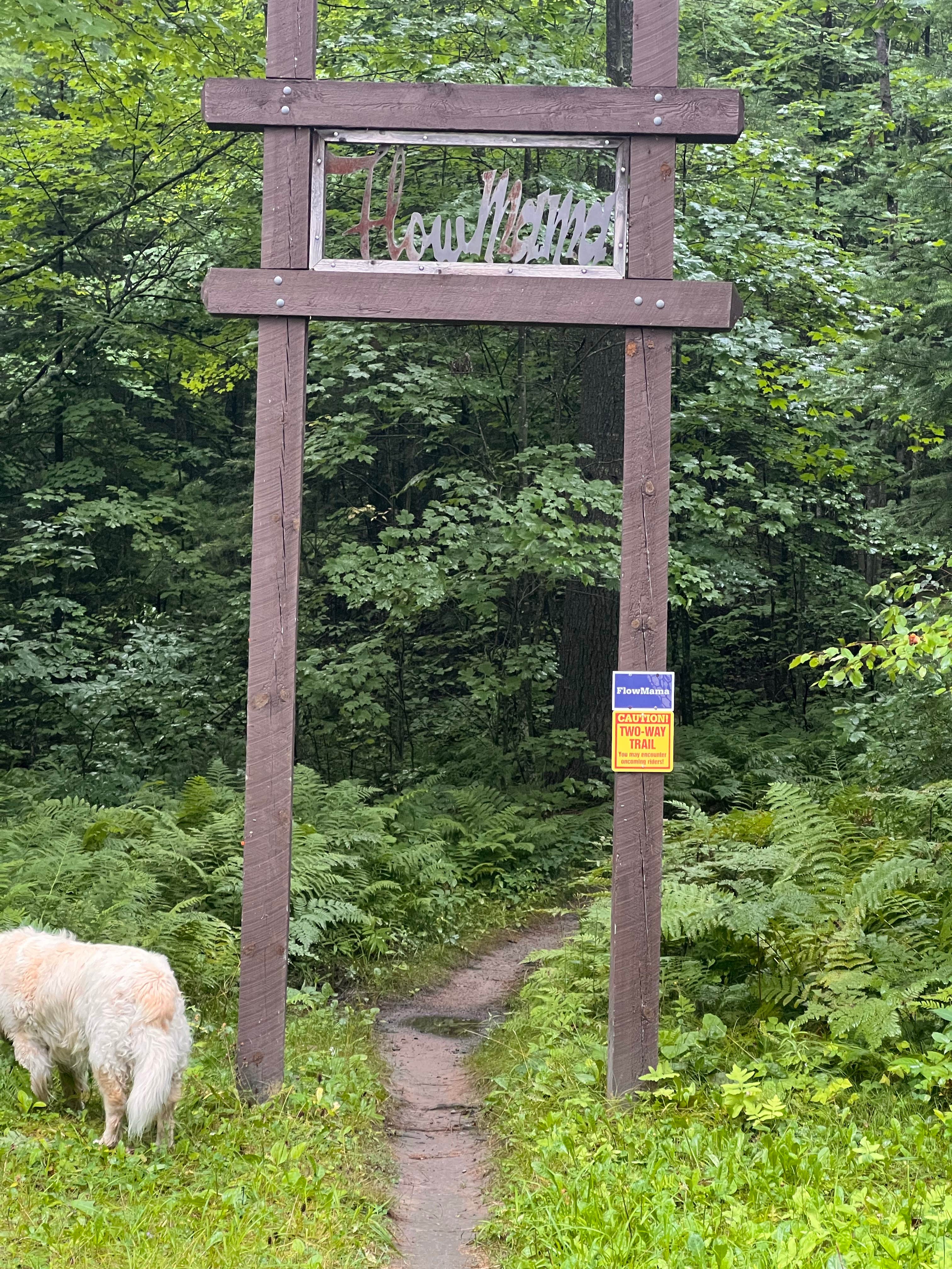Chris P.'s photo of camping with pets at FlowMama Trail Head Dispersed near Hayward, WI