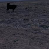 Review photo of Floy Exit #175 Dispersed BLM by Eliza G., March 11, 2026