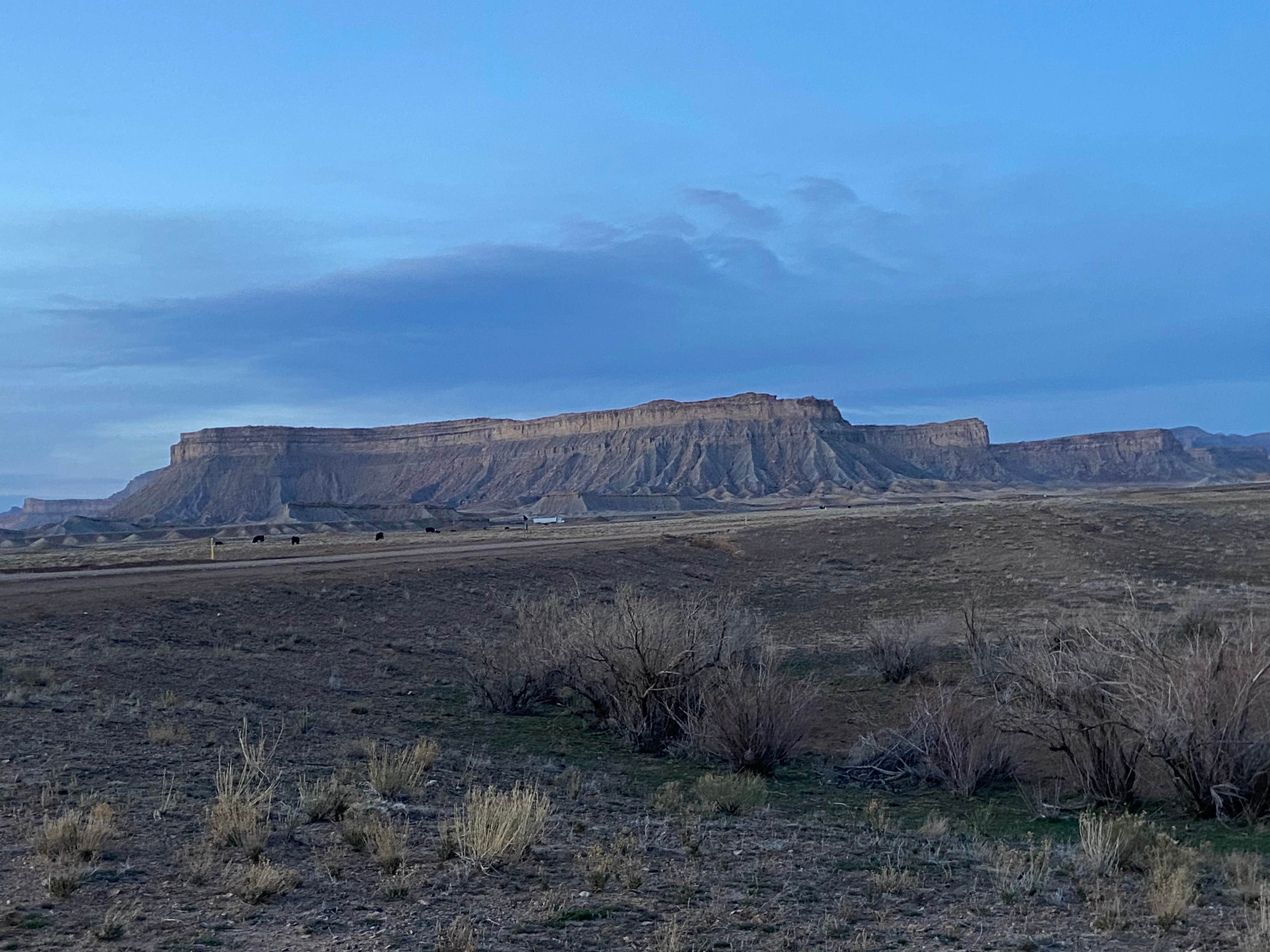 Camper-submitted photo at Floy Exit #175 Dispersed BLM near Green River, UT