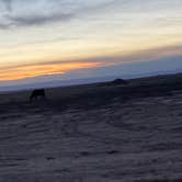 Review photo of Floy Exit #175 Dispersed BLM by Eliza G., March 11, 2026