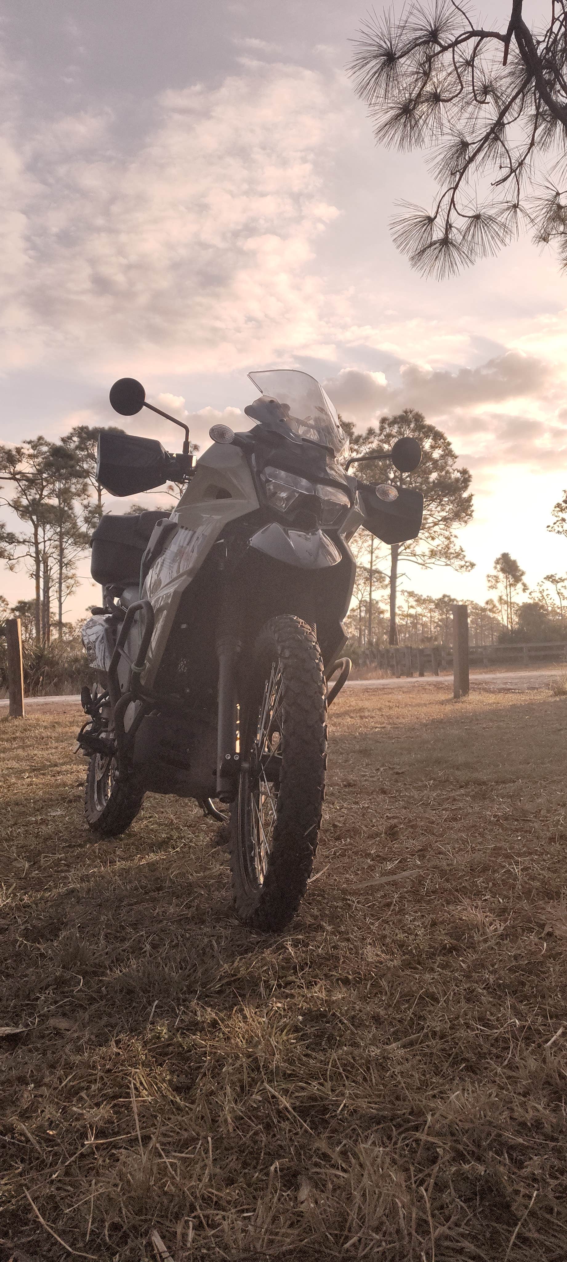 Camper submitted image from Flying A Primitive Campsite - Myakka State Park - 4