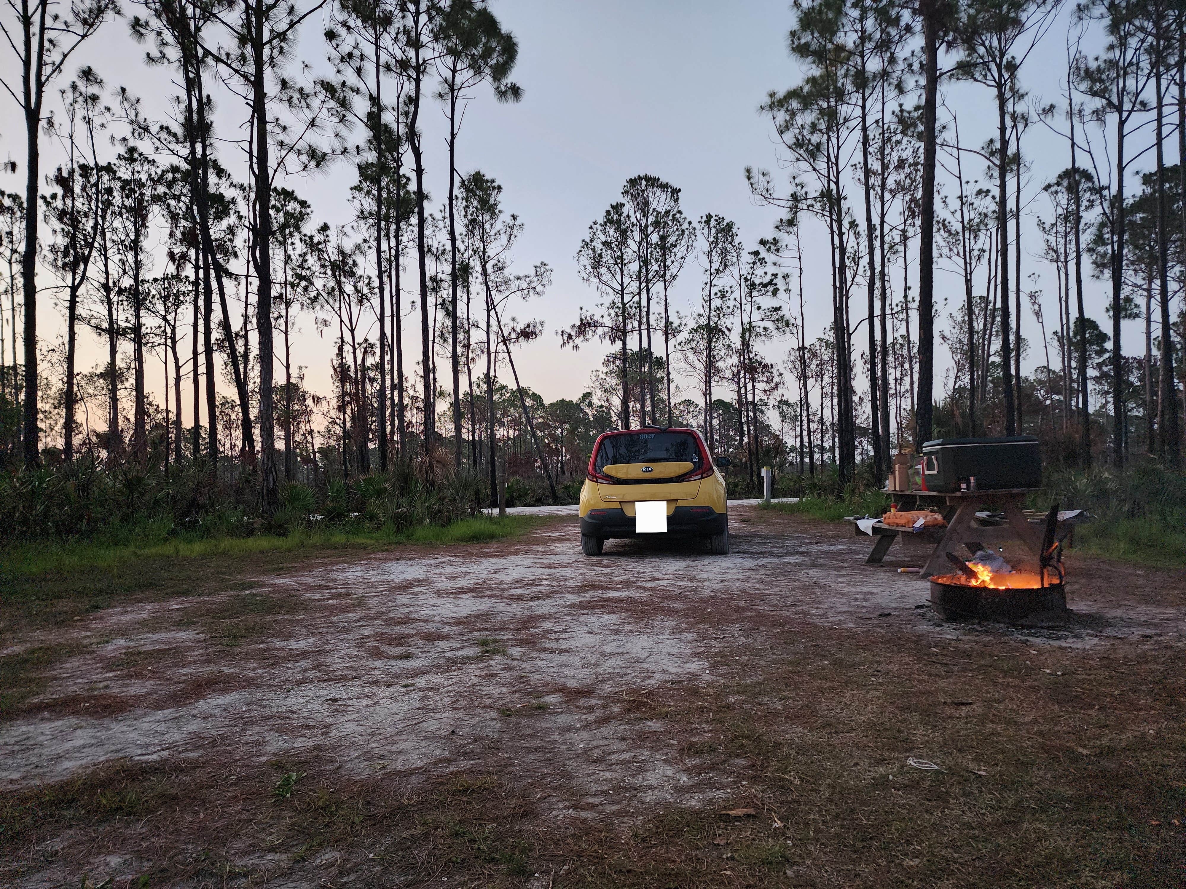 Camping near Cozy Little Glamping Shack: Flying A Campground — Myakka State Forest, El Jobean, Florida