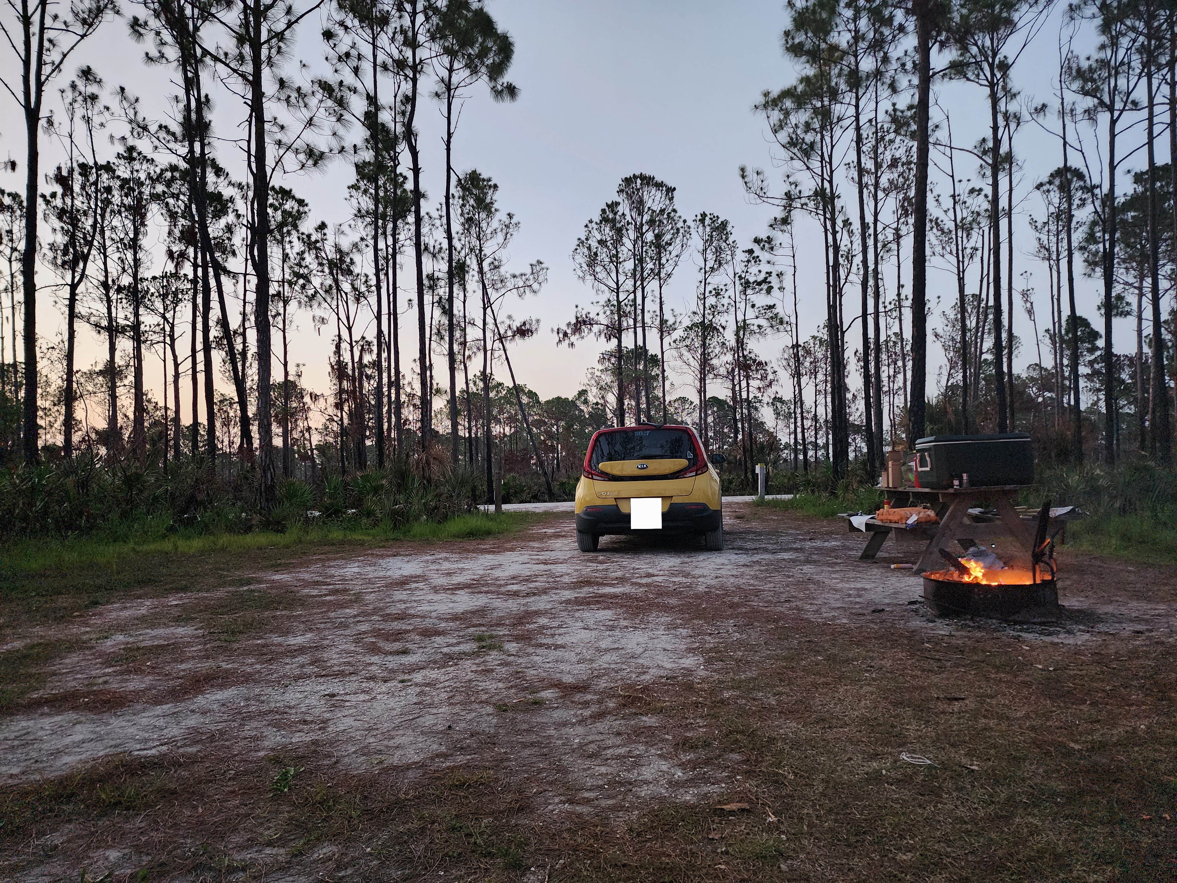 Camper submitted image from Flying A Primitive Campsite - Myakka State Park - 1