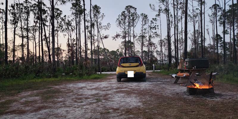 Camper submitted image from Flying A Campground — Myakka State Forest