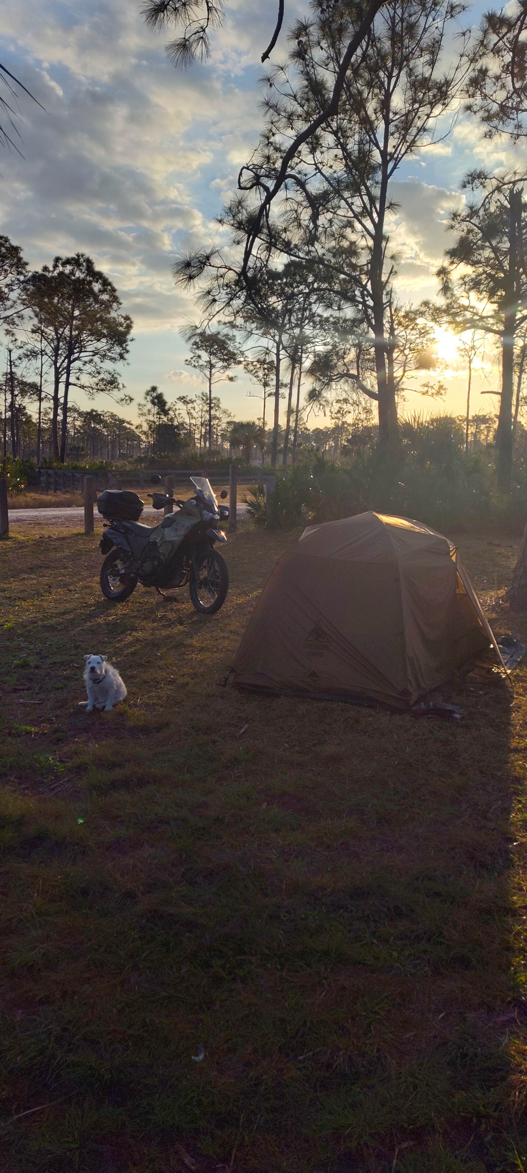 Camper-submitted photo at Flying A Campground — Myakka State Forest near Captiva, FL
