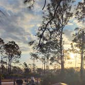 Review photo of Flying A Primitive Campsite - Myakka State Park by Daniel O., February 5, 2025